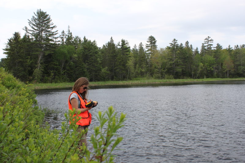 What do Ecologists do